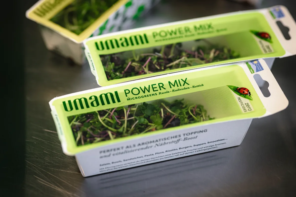 Fertige Packungen von Umami für die Migros.